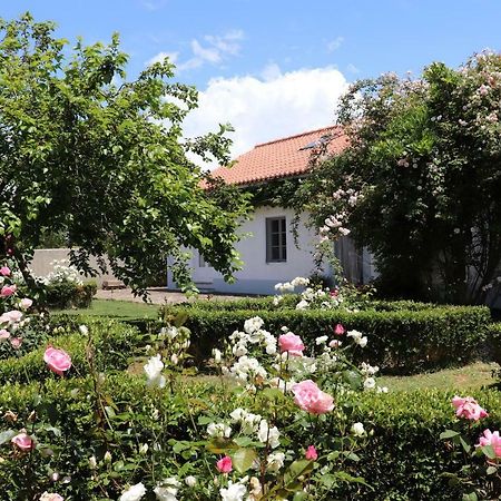 Monte Dos Papa Figos Hotel São Teotónio Kültér fotó